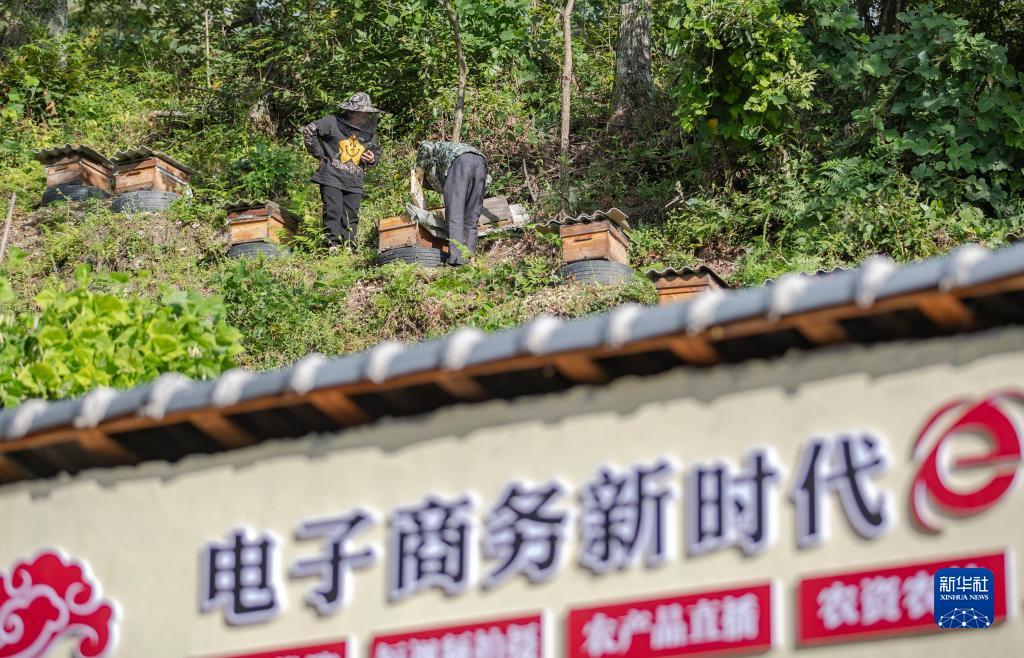 金沙返利网